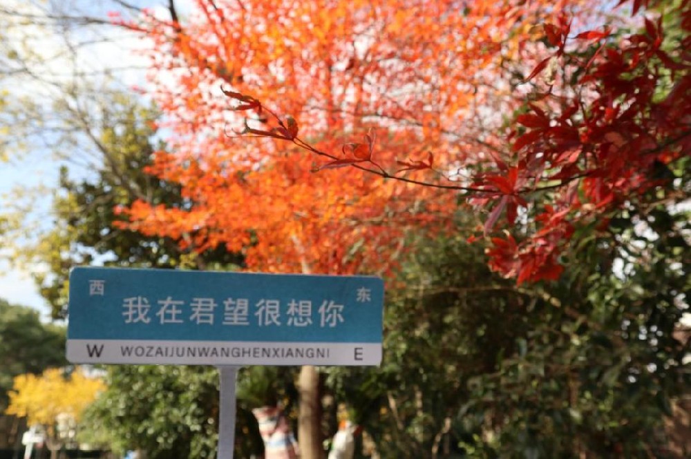 上海奉浦：增設(shè)停車位、重排地下管道……探索更有溫度的更新之路！